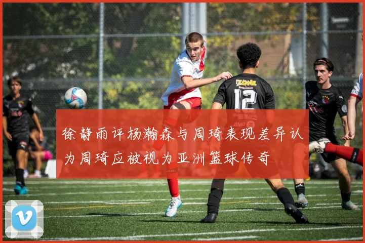 徐静雨评杨瀚森与周琦表现差异认为周琦应被视为亚洲篮球传奇