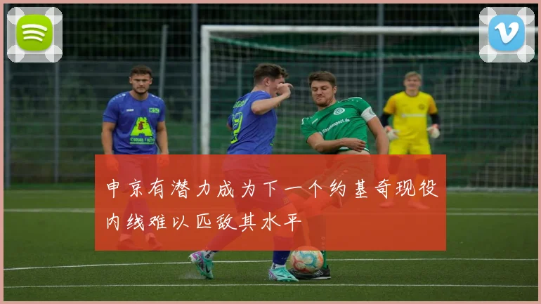 申京有潜力成为下一个约基奇现役内线难以匹敌其水平